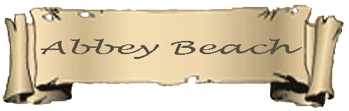 Perkament-R-abbey-beach